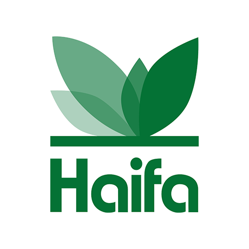 Logo HAIFA SEE